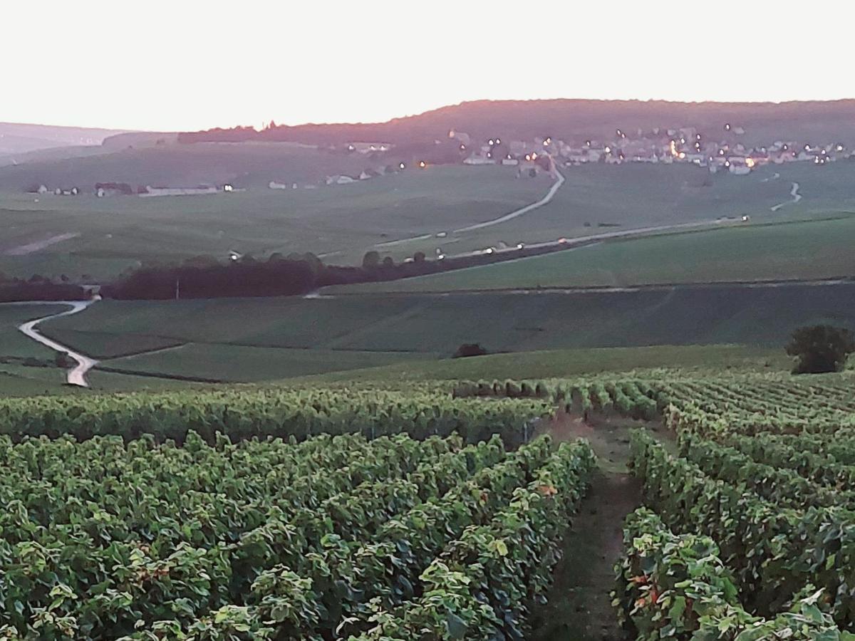 Epernay Capital De Champagne Leilighet Eksteriør bilde