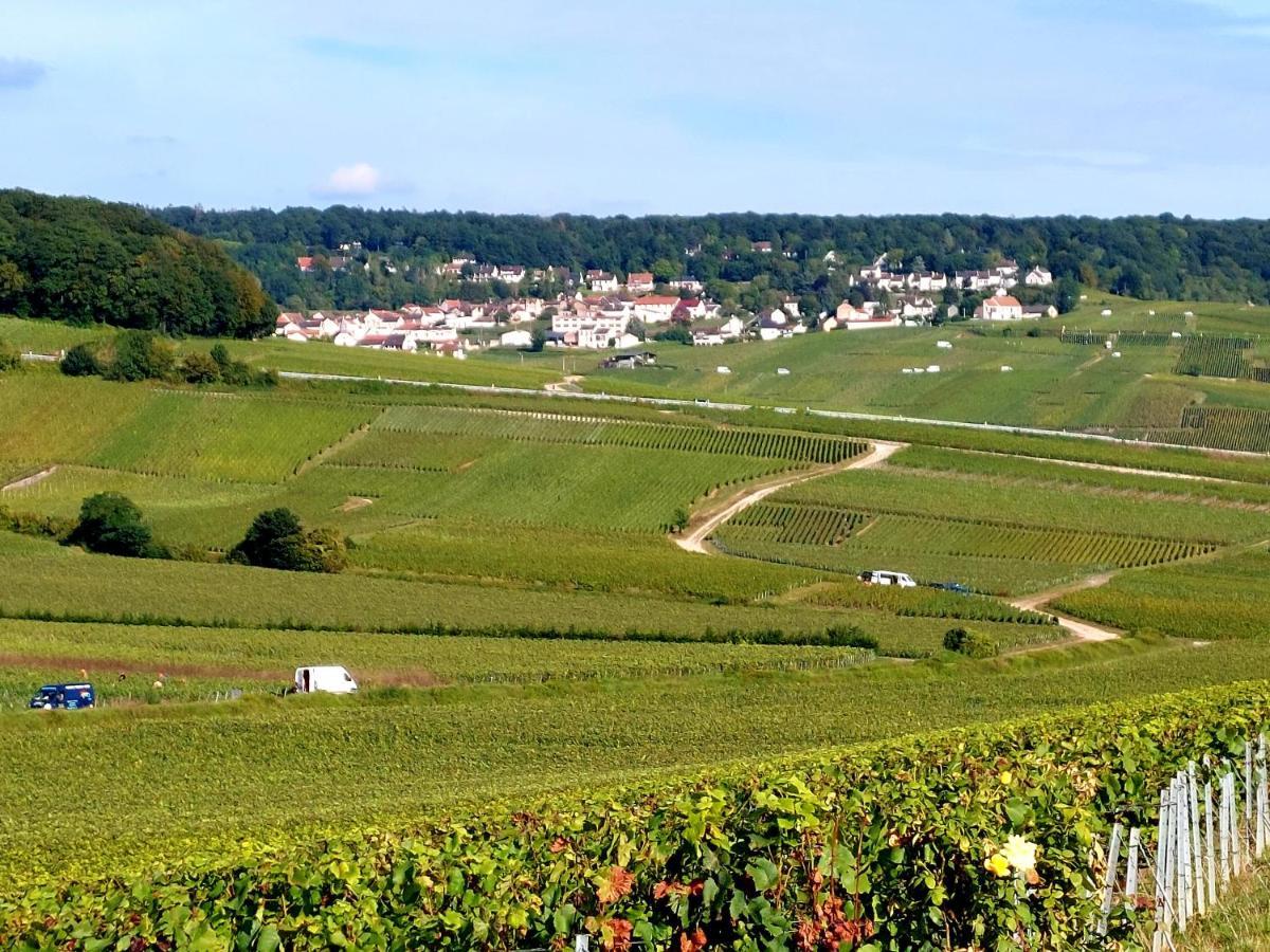 Epernay Capital De Champagne Leilighet Eksteriør bilde