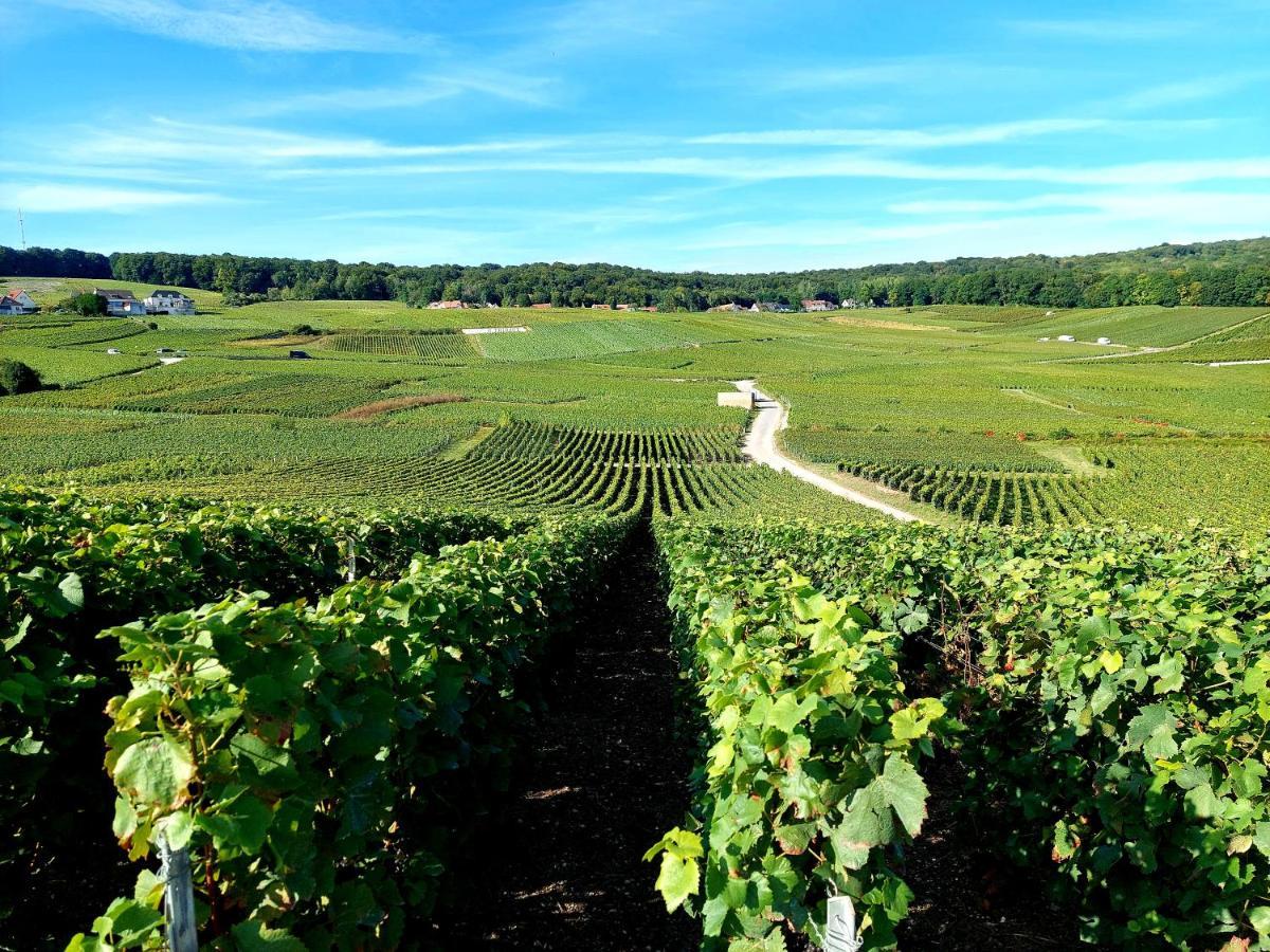 Epernay Capital De Champagne Leilighet Eksteriør bilde