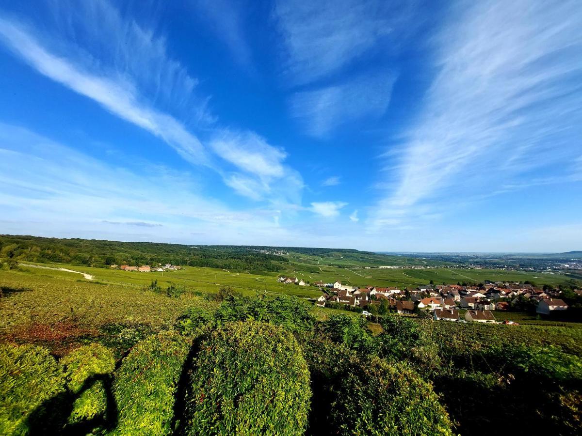 Epernay Capital De Champagne Leilighet Eksteriør bilde