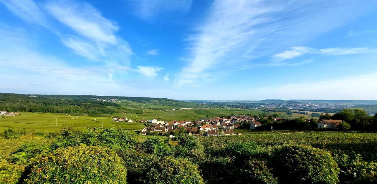 Epernay Capital De Champagne Leilighet Eksteriør bilde